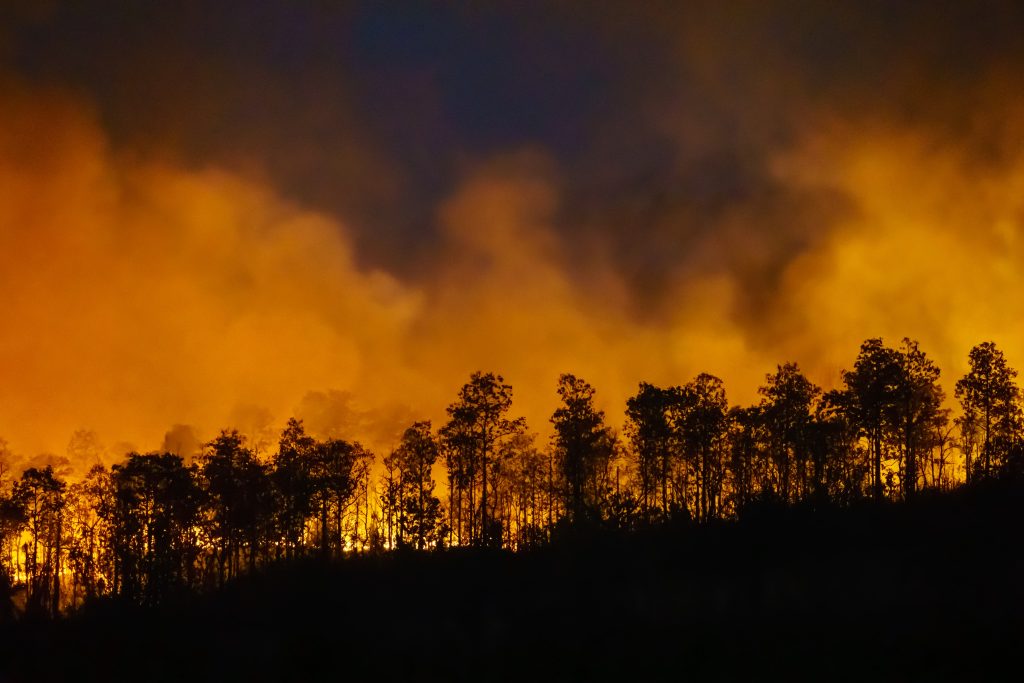 incendios forestales - jorge zegarra reategui denuncia