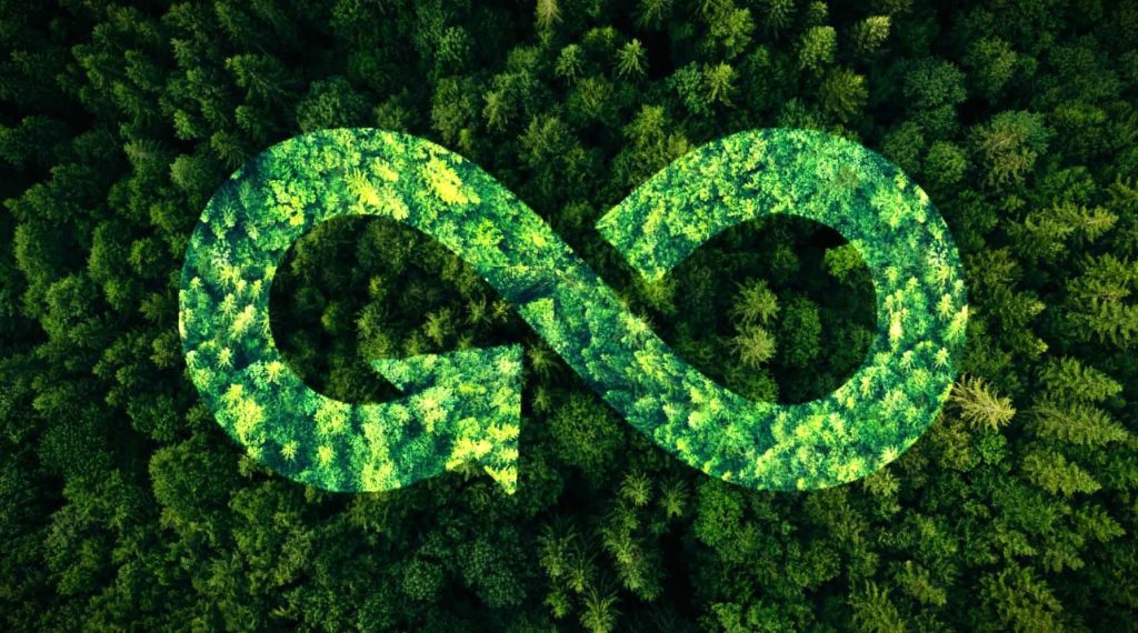 la economía circular